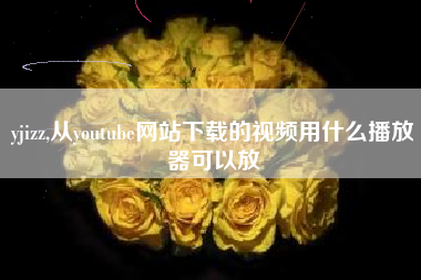 yjizz,从youtube网站下载的视频用什么播放器可以放