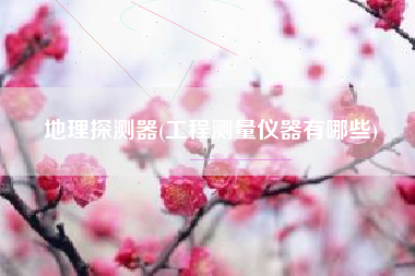 地理探测器(工程测量仪器有哪些)