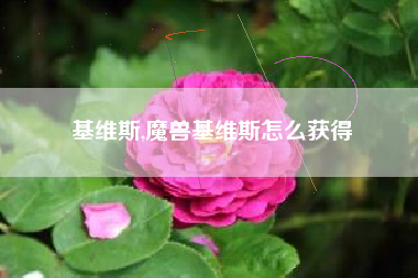 基维斯,魔兽基维斯怎么获得