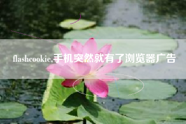 flashcookie,手机突然就有了浏览器广告