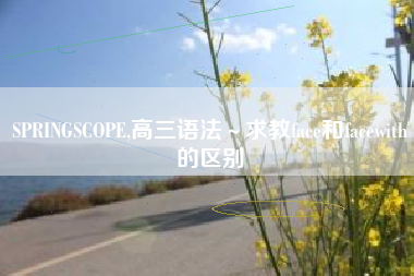 SPRINGSCOPE,高三语法～求教face和facewith的区别
