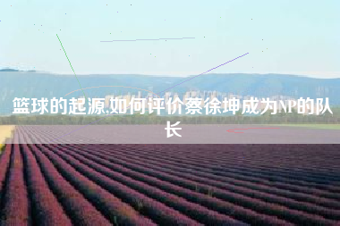 篮球的起源,如何评价蔡徐坤成为NP的队长