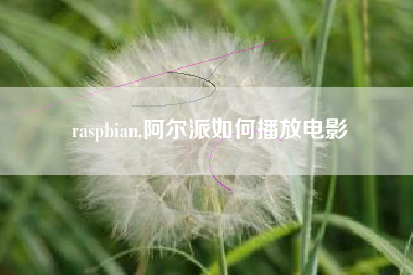 raspbian,阿尔派如何播放电影