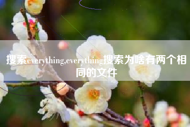搜索everything,everything搜索为啥有两个相同的文件