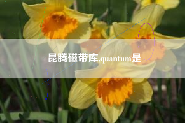 昆腾磁带库,quantum是