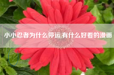 小小忍者为什么停运,有什么好看的漫画