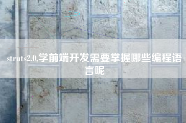 struts2.0,学前端开发需要掌握哪些编程语言呢