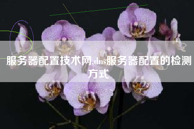 服务器配置技术网,dns服务器配置的检测方式