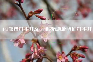 163邮箱打不开,Steam邮箱地址验证打不开
