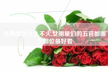 徐麒雯为什么不火,女明星们的五官都哪个部位最好看