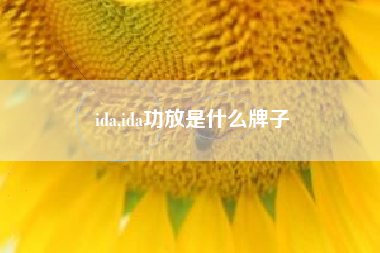 ida,ida功放是什么牌子