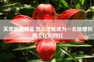 芙蓉姐姐博客,怎么才能成为一名能赚到两个亿的网红