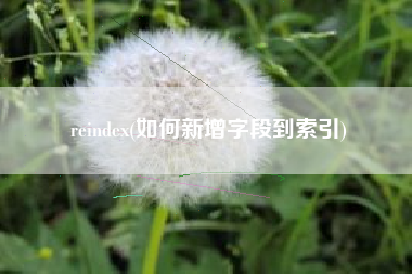 reindex(如何新增字段到索引)
