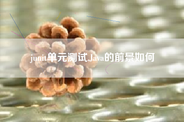 junit单元测试,Java的前景如何
