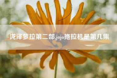 泷泽萝拉第二部,jojo拖拉机是第几集