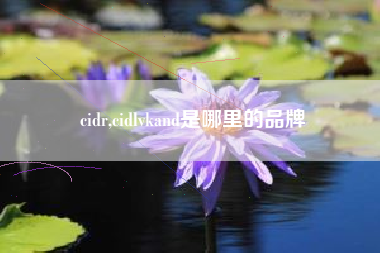 cidr,cidlvkand是哪里的品牌
