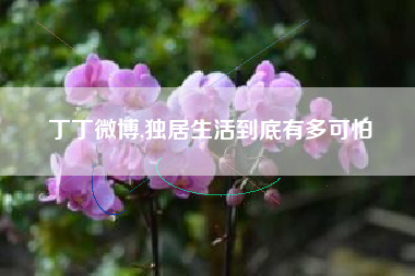 丁丁微博,独居生活到底有多可怕