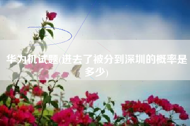 华为机试题(进去了被分到深圳的概率是多少)