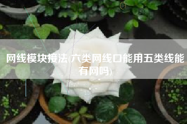 网线模块接法(六类网线口能用五类线能有网吗)