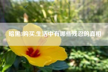 暗黑3购买,生活中有哪些残忍的真相