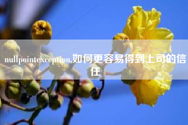 nullpointexception,如何更容易得到上司的信任