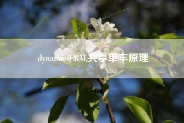 dynamicsCRM,共享单车原理