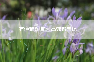 有道难题,如何高效做笔记