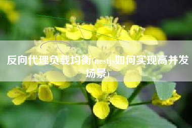 反向代理负载均衡(nestjs如何实现高并发场景)