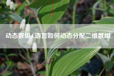 动态数组,C语言如何动态分配二维数组