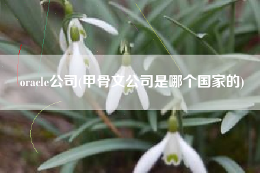 oracle公司(甲骨文公司是哪个国家的)