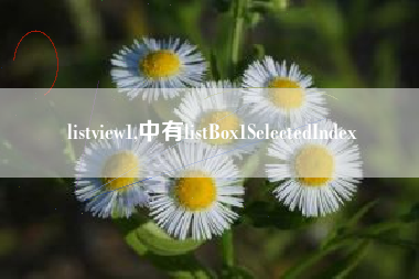 listview1,中有listBox1SelectedIndex
