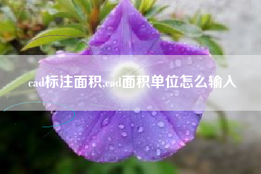 cad标注面积,cad面积单位怎么输入