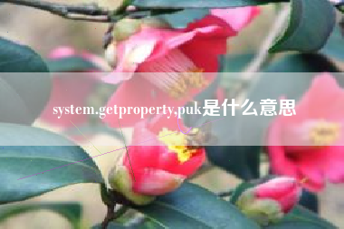 system.getproperty,puk是什么意思