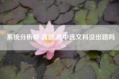 系统分析师 真题,高中选文科没出路吗