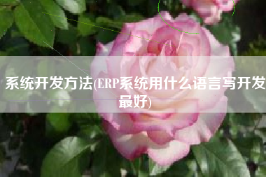 系统开发方法(ERP系统用什么语言写开发最好)