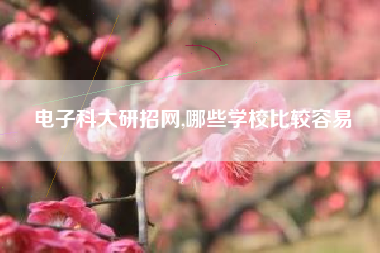 电子科大研招网,哪些学校比较容易