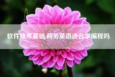 软件技术基础,商务英语适合学编程吗