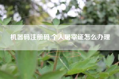 机器码注册码,个人屠宰证怎么办理