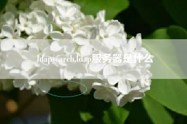 ldapsearch,ldap服务器是什么
