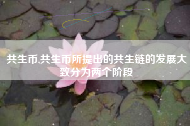 共生币,共生币所提出的共生链的发展大致分为两个阶段