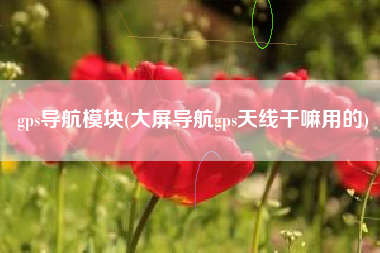 gps导航模块(大屏导航gps天线干嘛用的)