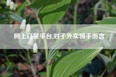 网上订餐平台,对于外卖骑手而言