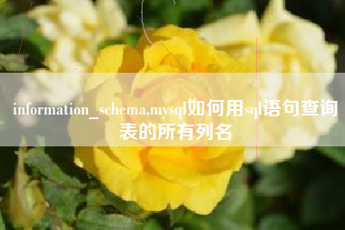 information_schema,mysql如何用sql语句查询表的所有列名