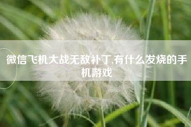 微信飞机大战无敌补丁,有什么发烧的手机游戏