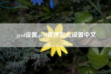grid设置,grid竞速怎么设置中文