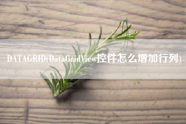 DATAGRID(DataGridView控件怎么增加行列)