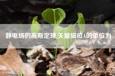 静电场的高斯定理,矢量磁位A的单位为