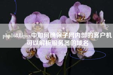 php168,Linux中如何确保子网内部的客户机可以解析服务器的域名