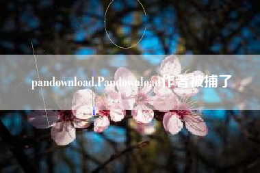 pandownload,Pandownload作者被捕了