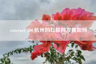 enternet 500,杭州的互联网发展如何